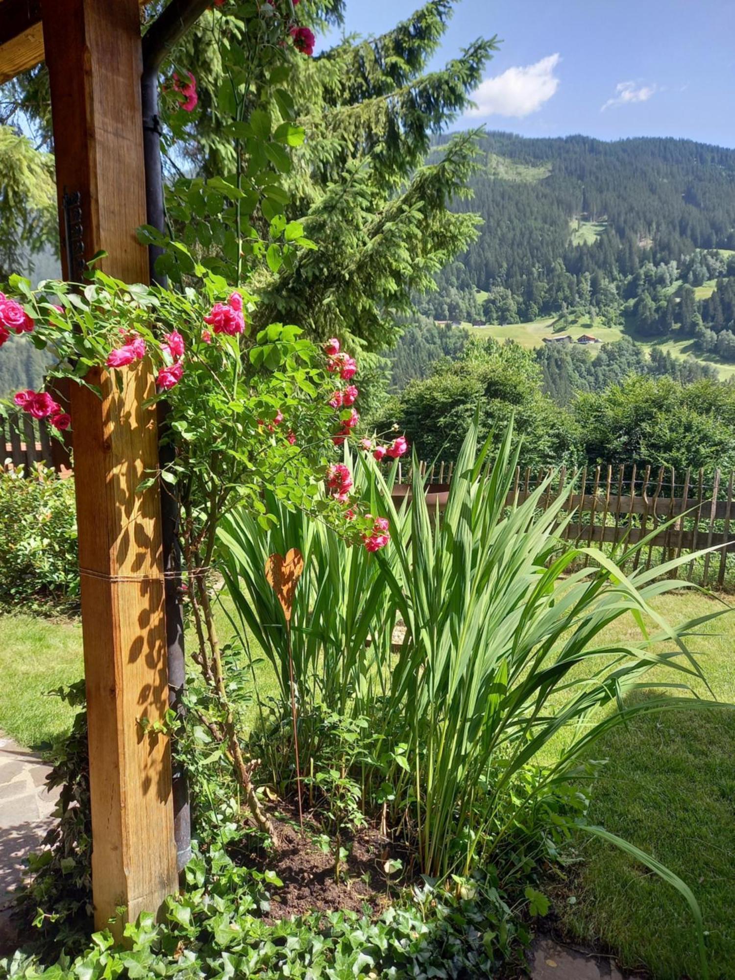 Aparthaus Am Walde & Appartement Sonnenseite Bartholomäberg Extérieur photo